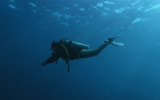 Plakias diving, Plakias diving centers, Plakias scuba diving, Plakias underwater, Plakias dive sites, Plakias dive schools, Plakias diving courses, Plakias diving tours, Plakias snorkeling, Best diving spots Plakias, Plakias PADI, Plakias Kalypso, Plakias Dive2gether, Plakias Phoinix